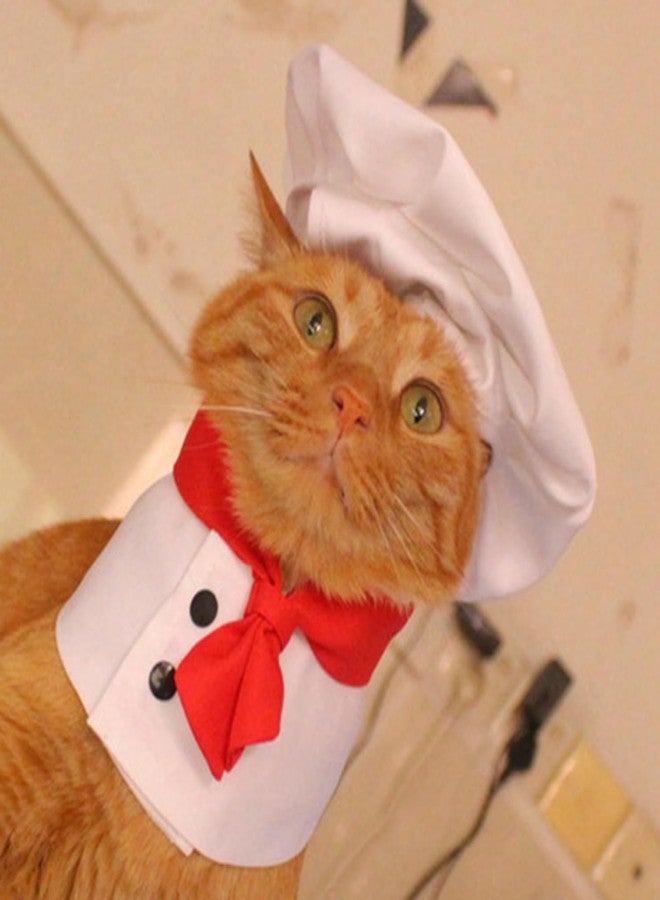 BWESOO White Pet Hat Chef Appearance Pet Clothing Soft S Dog Costumes for Supplies - Image 5